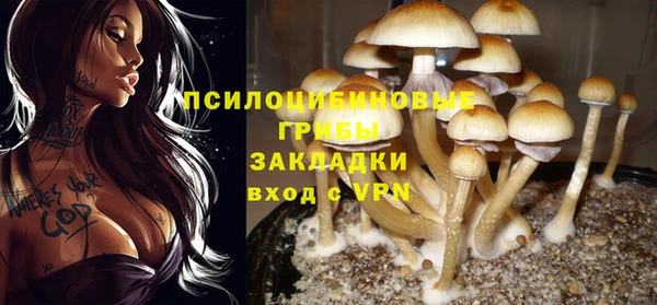 Альфа ПВП Абаза