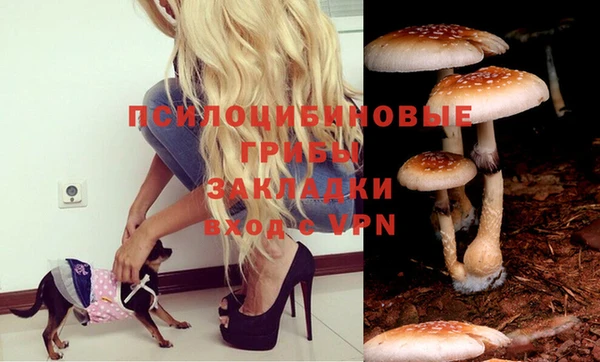 Альфа ПВП Абаза