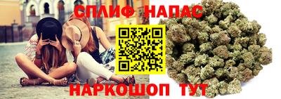 спиды Малгобек