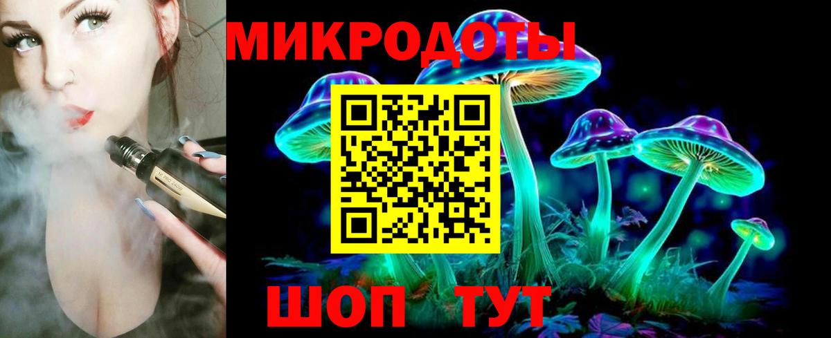 Галлюциногенные грибы Psilocybe Елизово