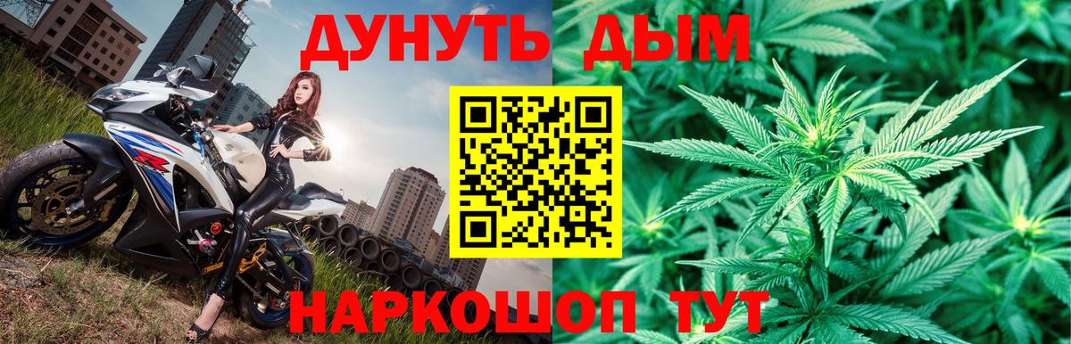 Каннабис планчик Елизово